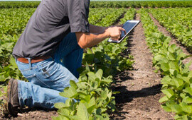 Agriculture to Agritech