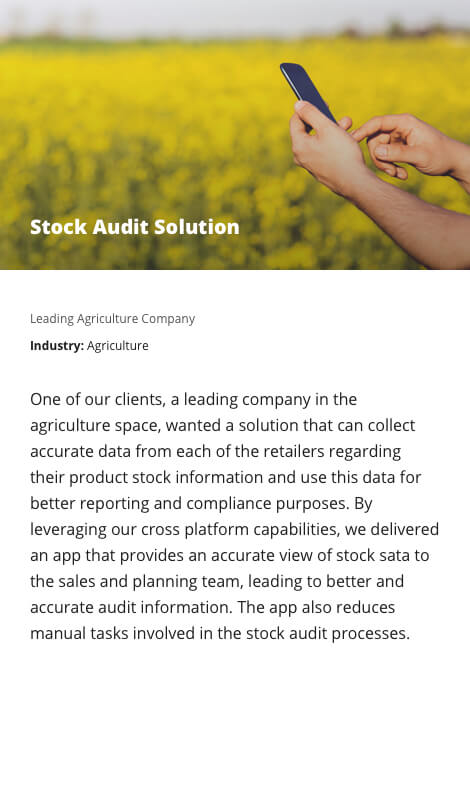 Stock Audit Solution